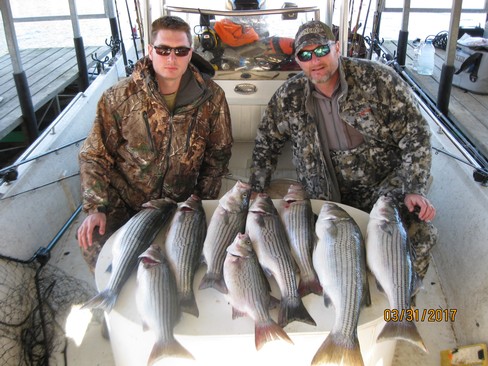 Nice Striped Bass